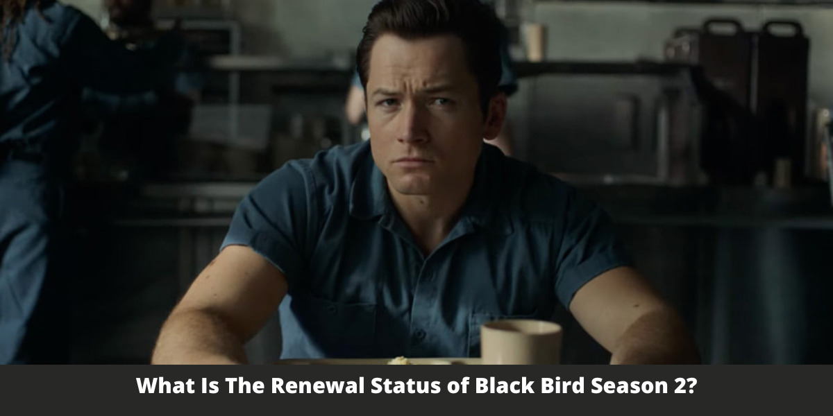What Is The Renewal Status of Black Bird Season 2?