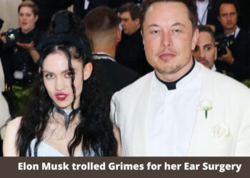 Elon Musk trolled Grimes for her Ear Surgery