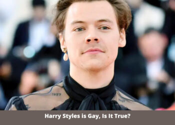 Harry Styles is Gay, Is It True?