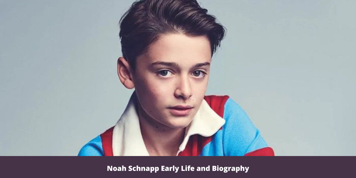 Noah Schnapp Early Life and Biography