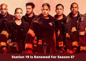 Station 19 Is Renewed For Season 6?