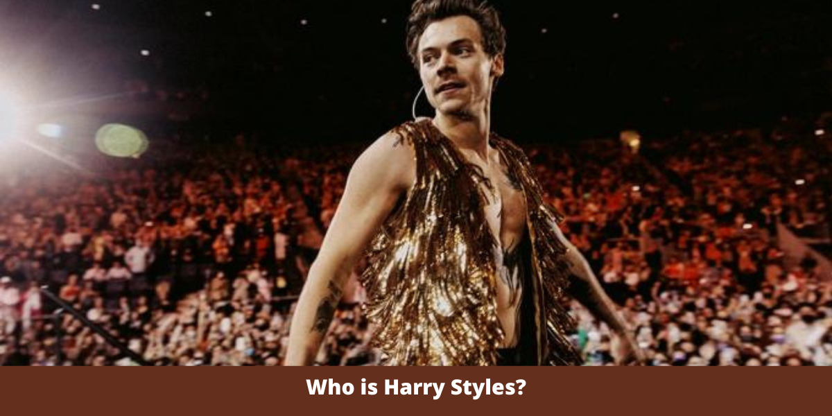 Who is Harry Styles?