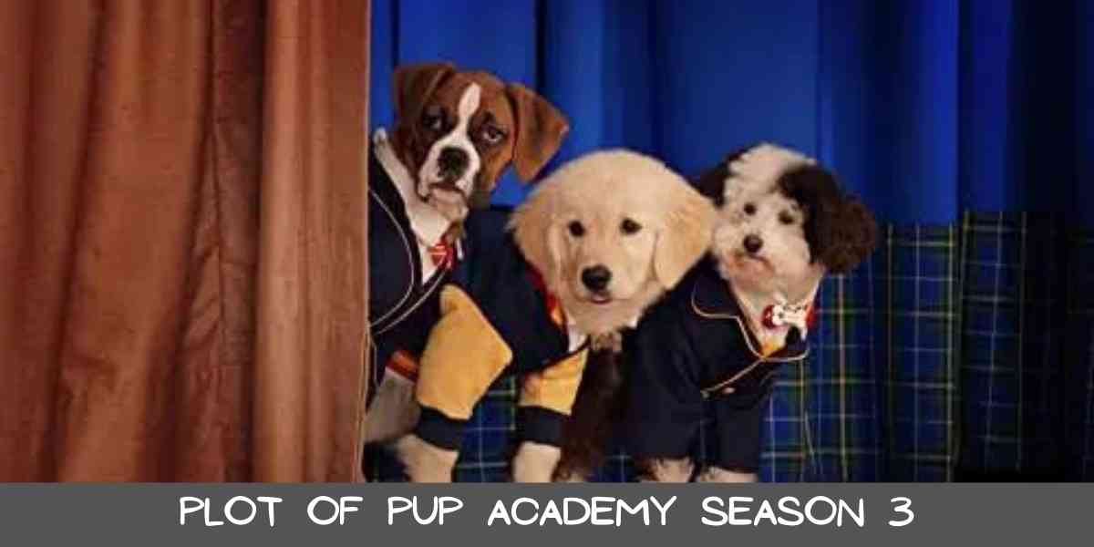 Plot Of Pup Academy Season 3
