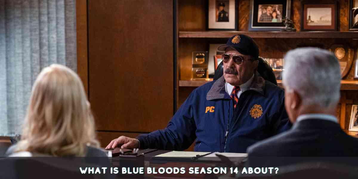 What is Blue Bloods Season 14 About?